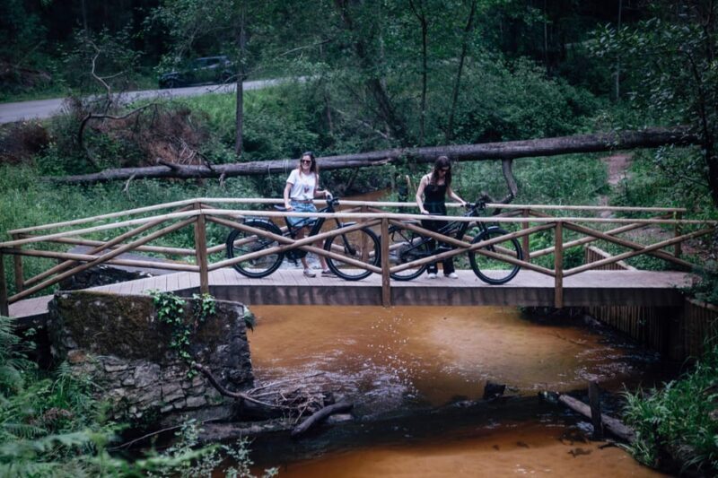 Atlantic Coast E-bike and Glass Museum tour - Timing and Flexibility