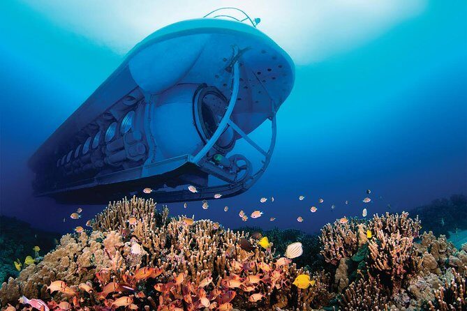 Atlantis Submarine from Kona Beach - Frequently Asked Questions