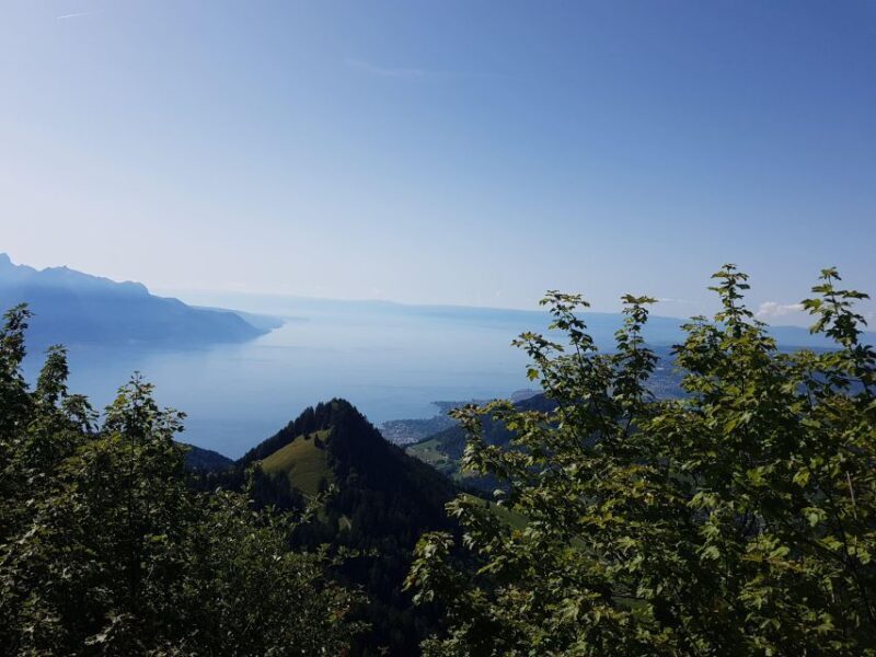 Attraction Ticket: Montreux to Rochers-de-Naye - Final Thoughts
