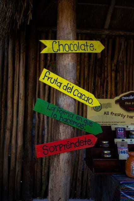 ATV 4×4+Snorkeling+Beach Club+ Lunch+Sabores de Cozumel - Final Thoughts