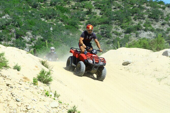 ATV Adventure and Tacos at Migriño Beach - Practical Details and Considerations
