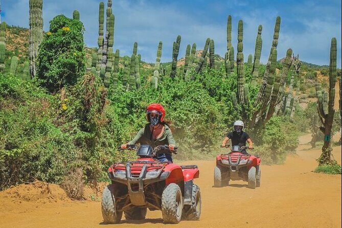 ATV Adventure from Cabo San Lucas - The Pros and Cons