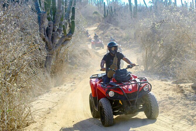 ATV and Camel Experience Los Cabos - Who Should Consider This Tour?