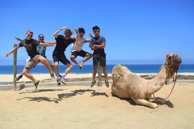 ATV and Camel Ride COMBO Adventure - Key Points