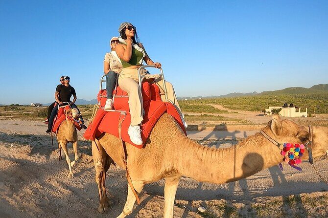 ATV and Camel Ride Combo Tour in Los Cabos - Whats Included and Whats Not