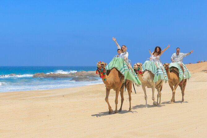 ATV & Camel Ride Tour on Migriño Beach - Discovering What the Tour Offers