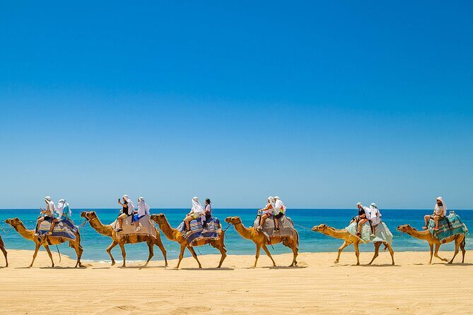 ATV & Camel Ride Tour on Migriño Beach - Practical Details and Considerations