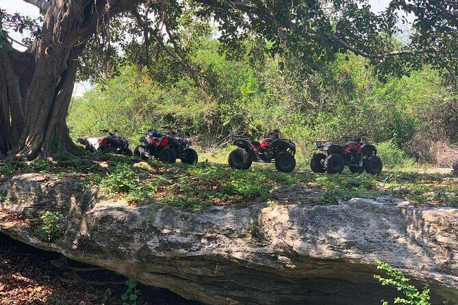 ATV Jungle Adventure to Hidden Mayan Ruins and Caves - What Travelers Say & What to Watch Out For