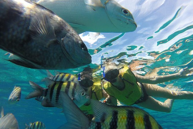 ATV Mud Kicking and Snorkeling by Boat in Cozumel - Authentic Tips from Reviews