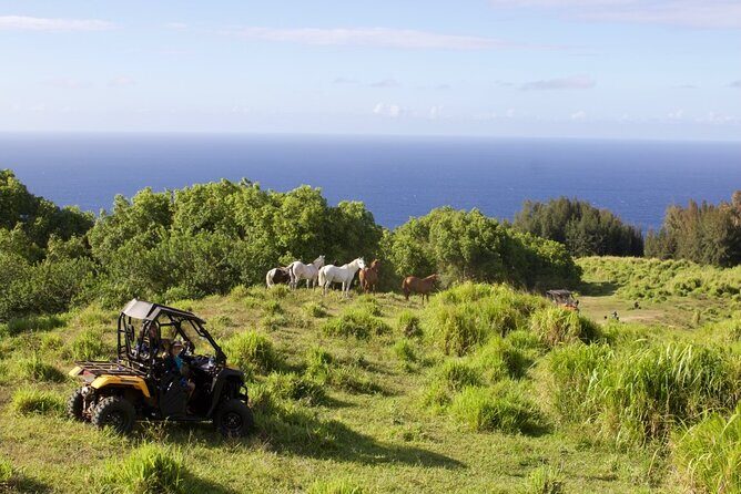 ATV Ranch ride Big Island Hawaii - Frequently Asked Questions