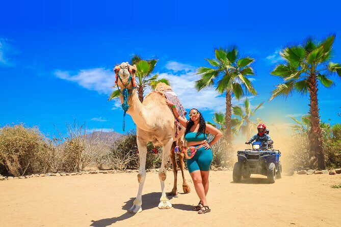 ATV Tour, Camel Ride, Tequila Tasting and Mexican Buffet Lunch - The Full Experience Breakdown