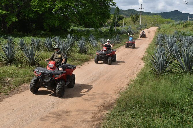 ATV's Tour to La Vinata Los Osuna - Key Points