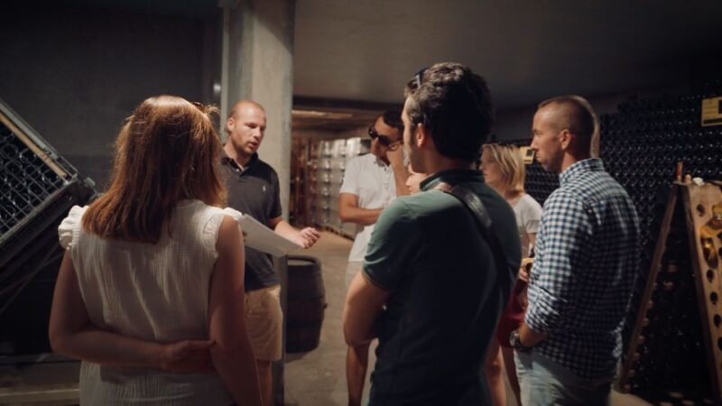 Au départ de REIMS : Ebike tour with a local guide ! - A Closer Look at the Ebike and Vineyard Experience