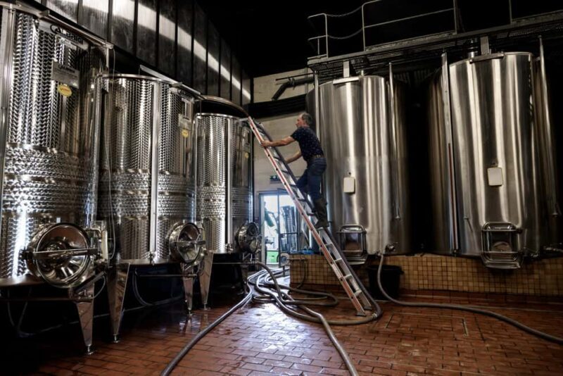 Aubance: Tour and Tasting at Domaine de Haute Perche - Key Points