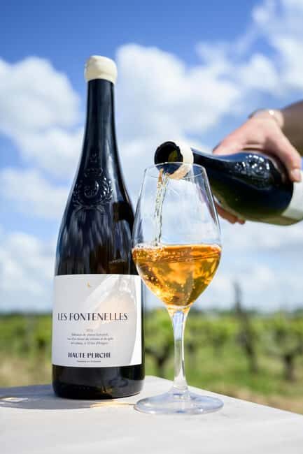 Aubance: Tour and Tasting at Domaine de Haute Perche - Exploring the Domaine de Haute Perche Experience