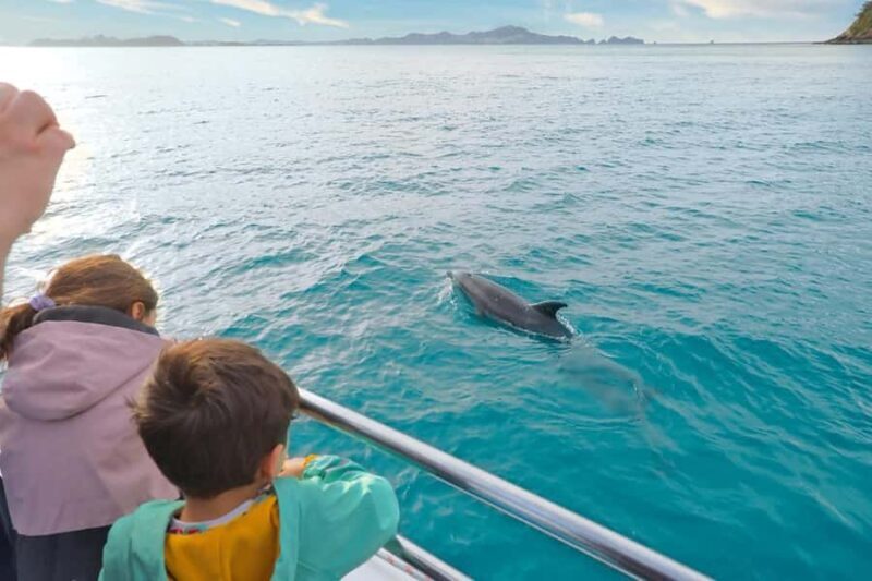 Auckland: 2-Day Bay of Islands Small Group Tour with Cruise - Final Thoughts