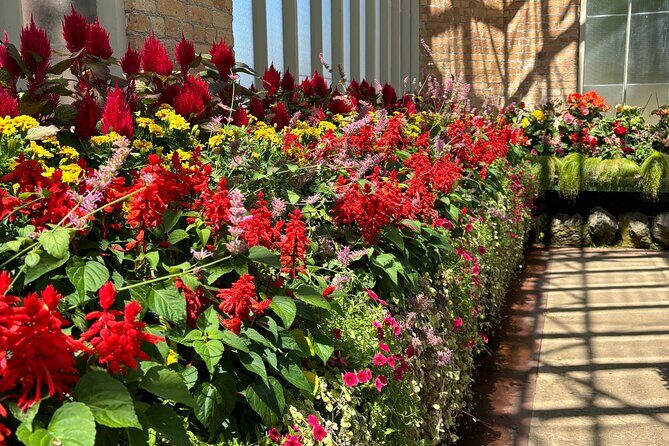 Auckland Best Top 5 Spots Half day Tour - Final Thoughts