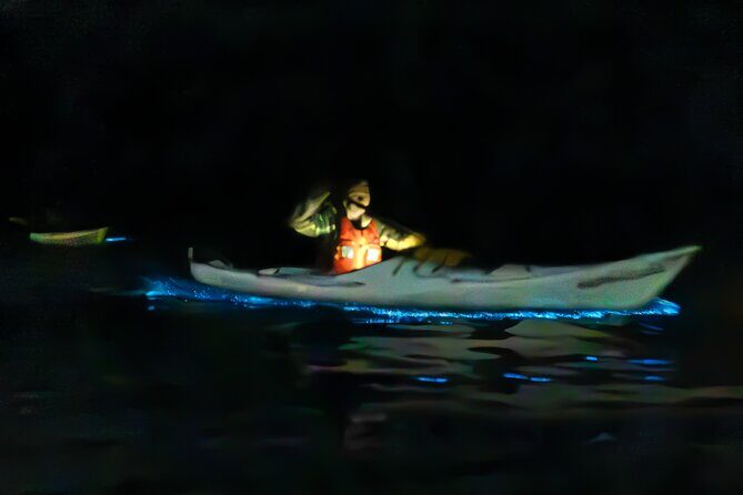 Auckland Bioluminescence Kayak Tour - Key Points