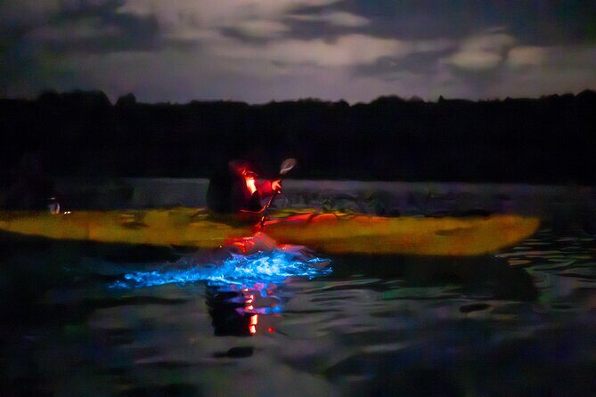 Auckland Bioluminescence Kayak Tour - FAQ