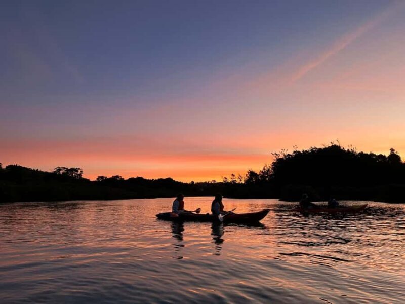 Auckland: Bioluminescence Kayak Tour with Guide - Key Points