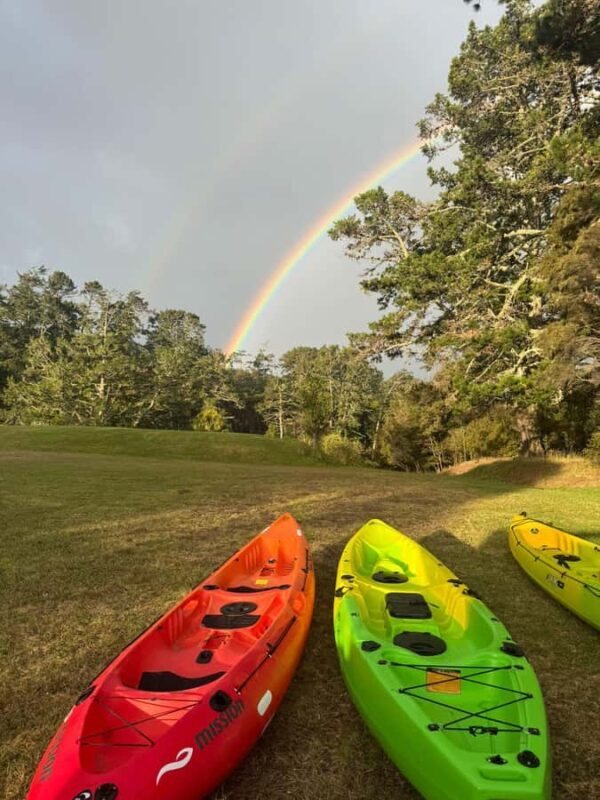 Auckland: Bioluminescence Kayak Tour with Guide - Final Thoughts
