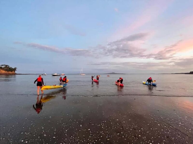 Auckland: Bioluminescence Kayak Tour with Guide - FAQs