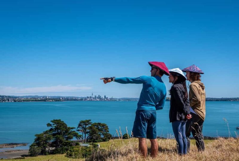 Auckland: Browns Island (Motukorea) Sea Kayak Tour - The Guides and Group Experience