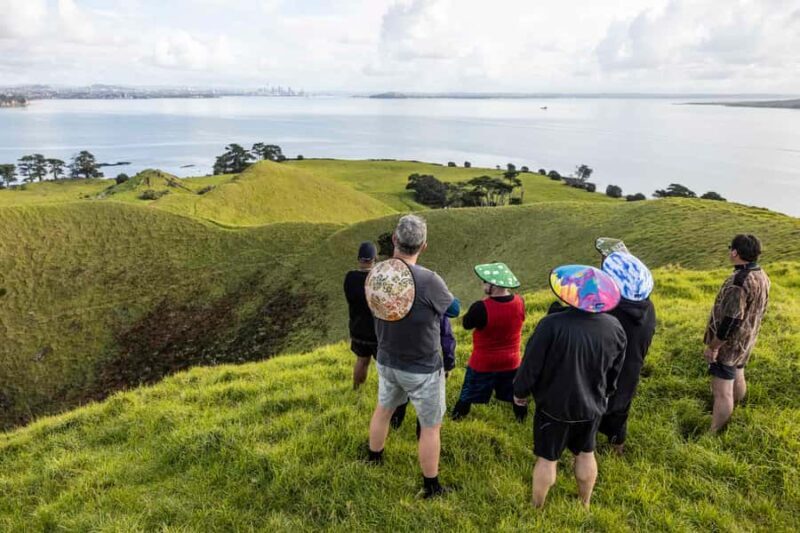 Auckland: Browns Island (Motukorea) Sea Kayak Tour - Who Is This Tour Best For?