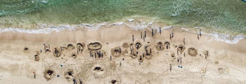Auckland: Cathedral Cove and Hot Water Beach Day Trip - Authentic Traveler Feedback