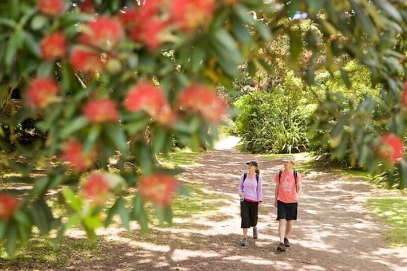 Auckland City and West Coast Luxury Tour - Key Points