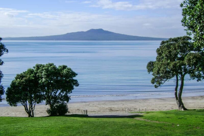 Auckland City, Beaches & Rainforest Premium Small Group Tour - Key Points