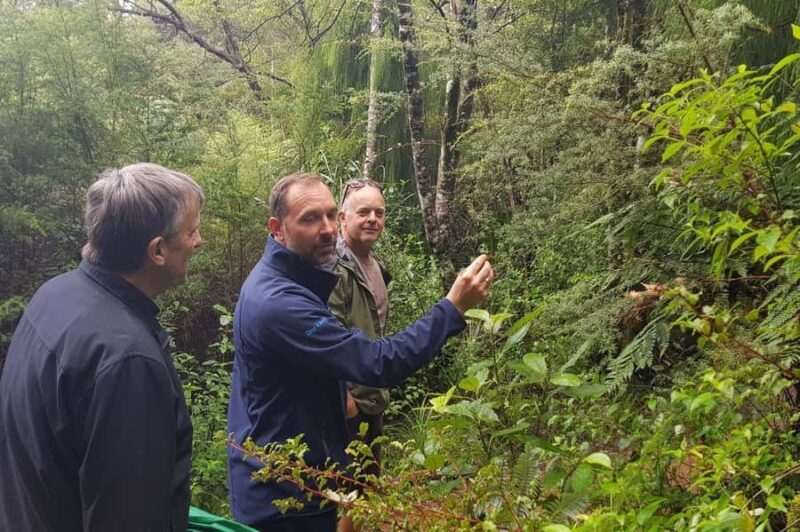 Auckland City, Beaches & Rainforest Premium Small Group Tour - Final Thoughts