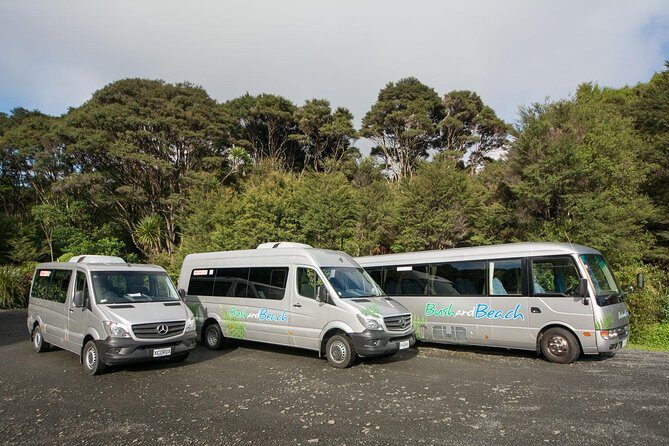 Auckland City Highlights, Afternoon Piha Beach & Rainforest Tour - Who Should Consider This Tour?