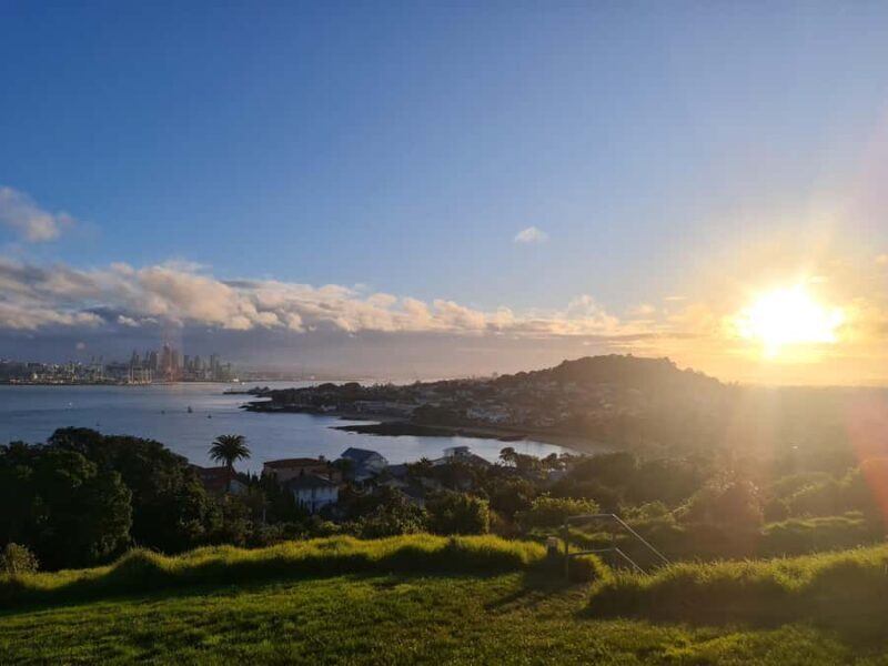 Auckland City Highlights Full Day Tour - The Value of a Guided Small Group Tour