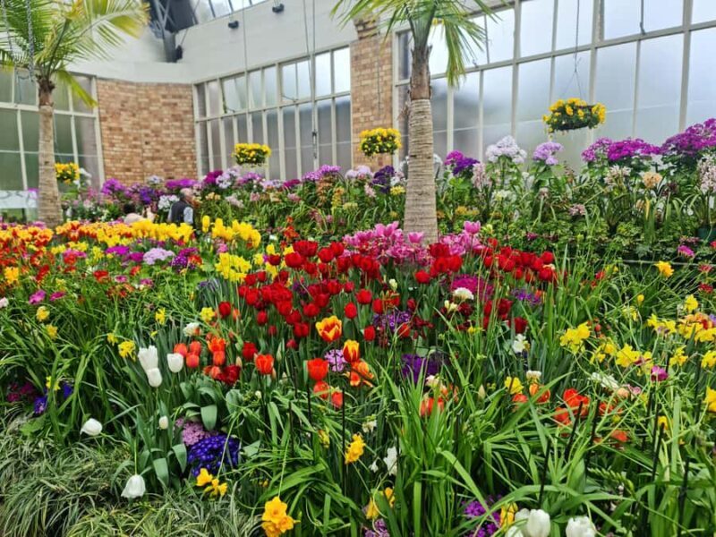 Auckland City Highlights Full Day Tour - Final Thoughts