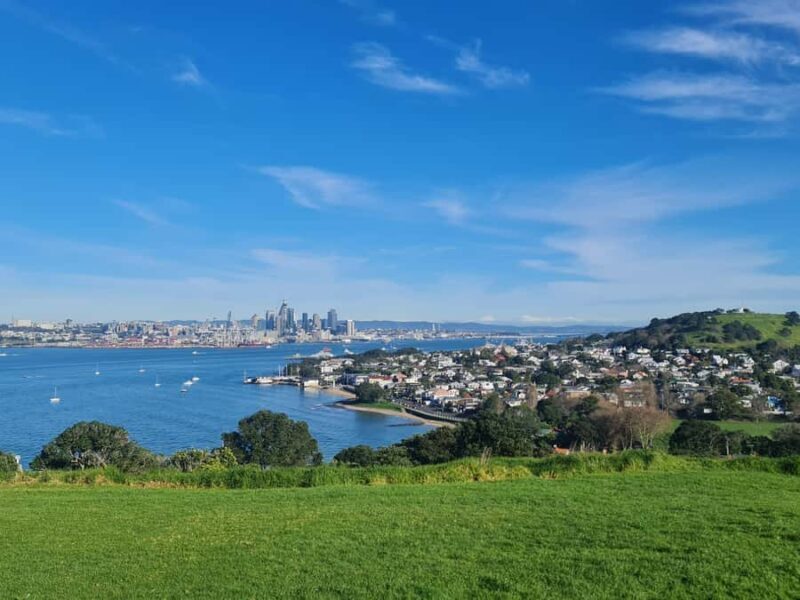 Auckland City Highlights Half Day Tour - Why Opt for a Half-Day Tour in Auckland?