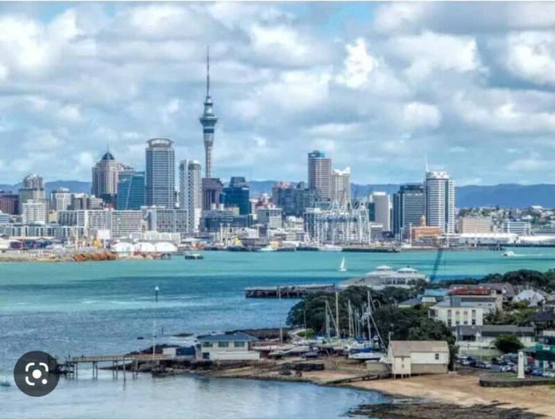 Auckland City Highlights Half Day Tour - The Experience: What’s It Like on the Ground?