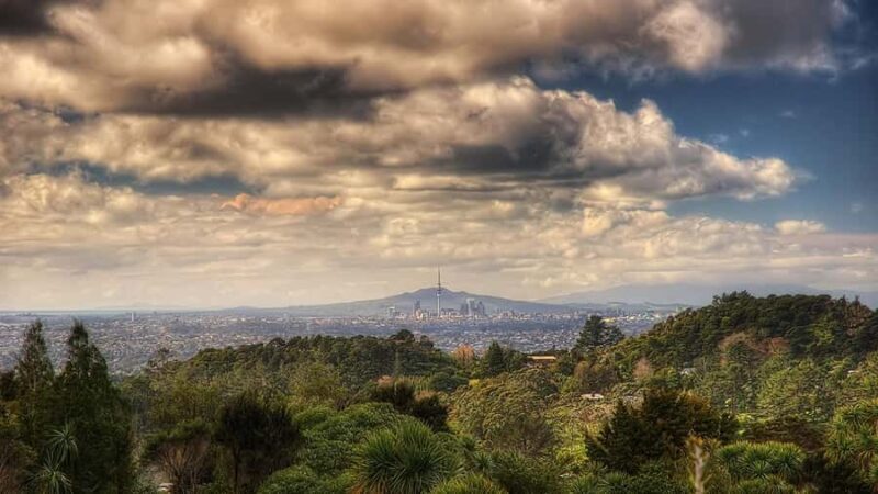 Auckland City Highlights Small-Group Tour (Half-Day) - Key Points