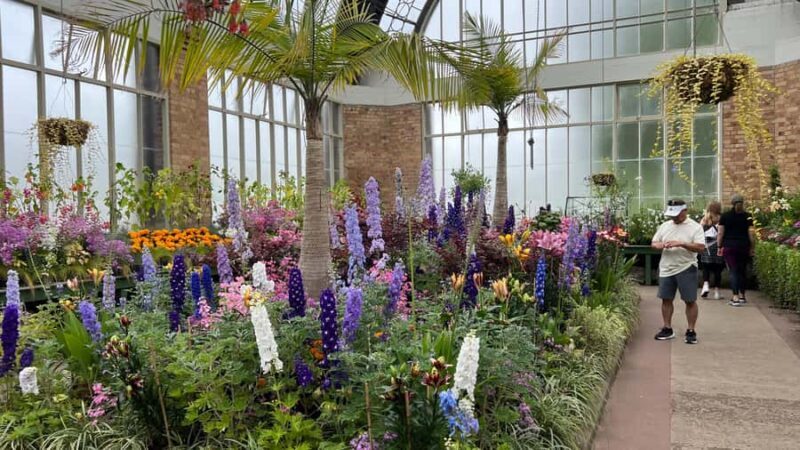 Auckland CITY HIGHLIGHTS Tour with Hotel Pickup - What to Expect from This Auckland Highlights Tour