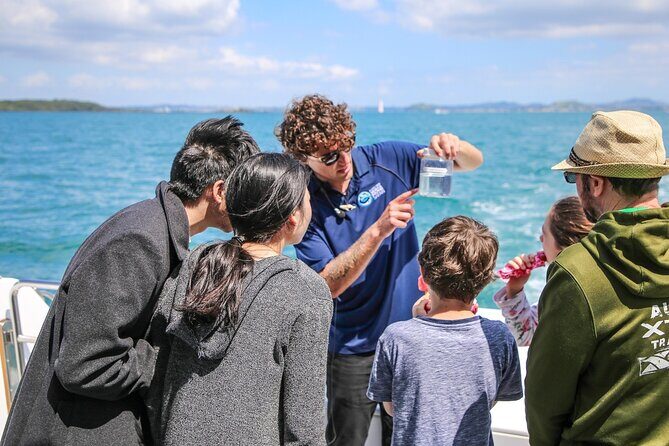 Auckland Dolphin and Whale Watching Eco-Safari Cruise - Who is This Tour Best For?