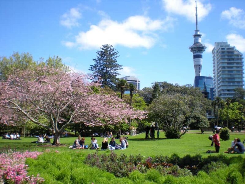 Auckland Family Tales: Private Stroll in the City of Sails - Practical Details and Final Thoughts