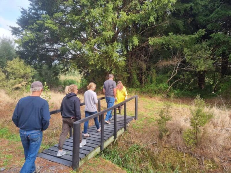 Auckland: Full-Day Jade Carving, Honey Tasting & Wine Tour - Potential Drawbacks and Considerations