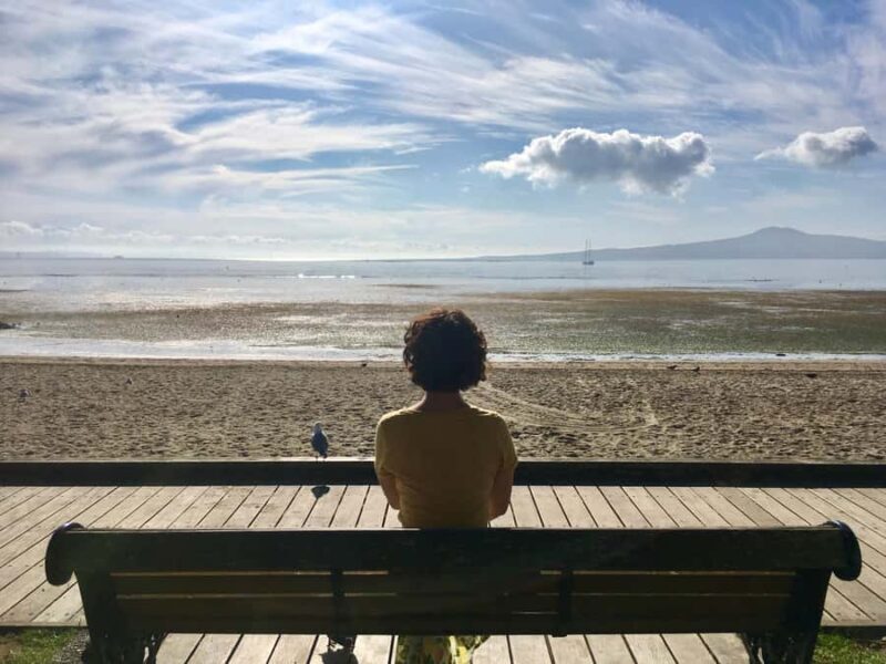 Auckland: Half-Day Auckland Volcanoes Tour - Key Points