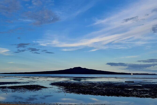 Auckland Half Day City Tour - Heart of Auckland - Who Is This Tour Best For?