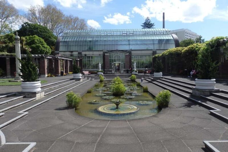 Auckland: Half-Day Scenic Sightseeing Tour - What Could Be Better?