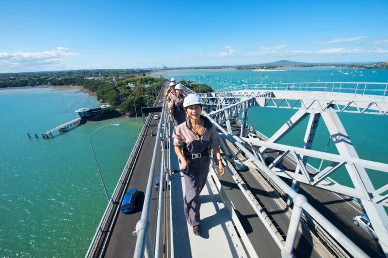 Auckland Harbour Bridge Climb & Bungy Combo - Practical Considerations and Tips