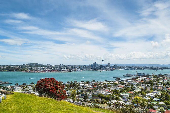 Auckland Harbour Cruise - Who Should Consider This Cruise?