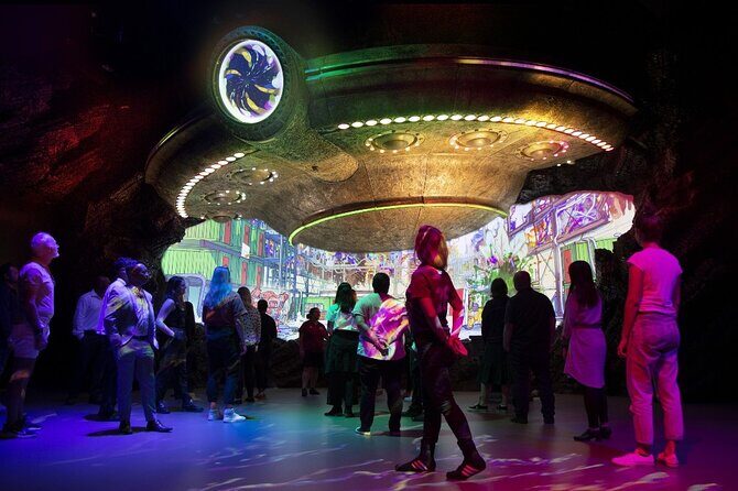 Auckland Harbour Sailing Experience - Final Thoughts