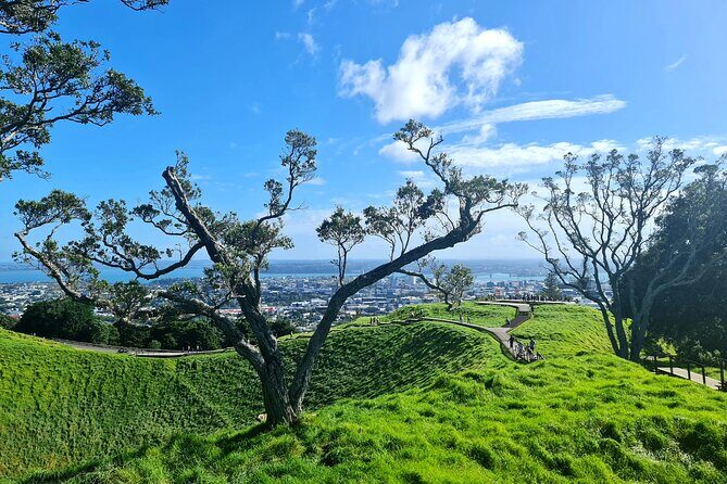 Auckland Hidden Gem Half Day Tour - Key Points