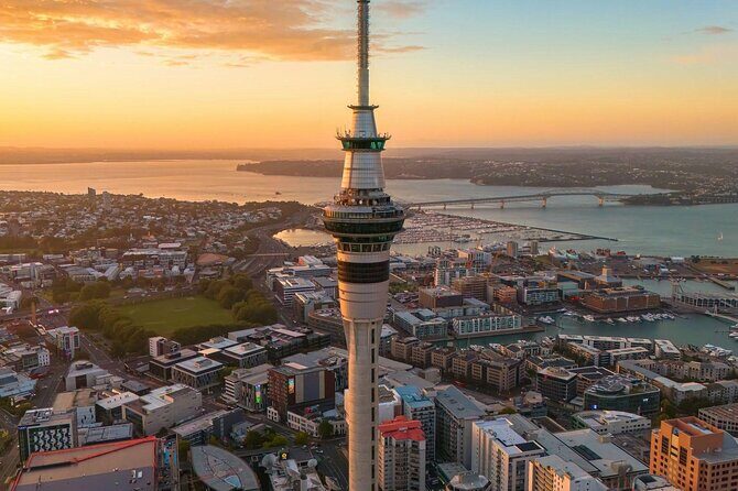 Auckland Highlight Attractions Small Group Tour - What Do Travelers Say?